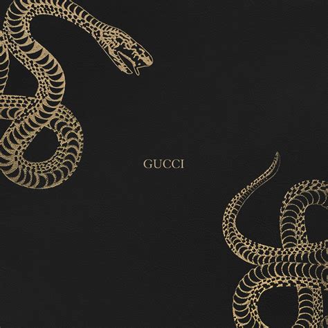 gucci black snake